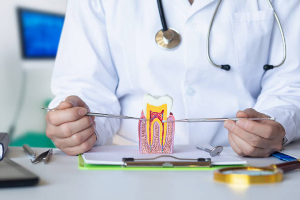 Best Emergency Wisdom Teeth Removal in Xenia, OH
